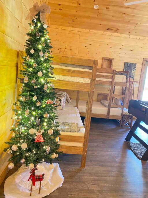 The Grand Tennessean Cabin- Four Bedroom Luxury Cabin In The Mountains 鸽子谷 外观 照片