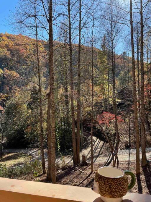 The Grand Tennessean Cabin- Four Bedroom Luxury Cabin In The Mountains 鸽子谷 外观 照片